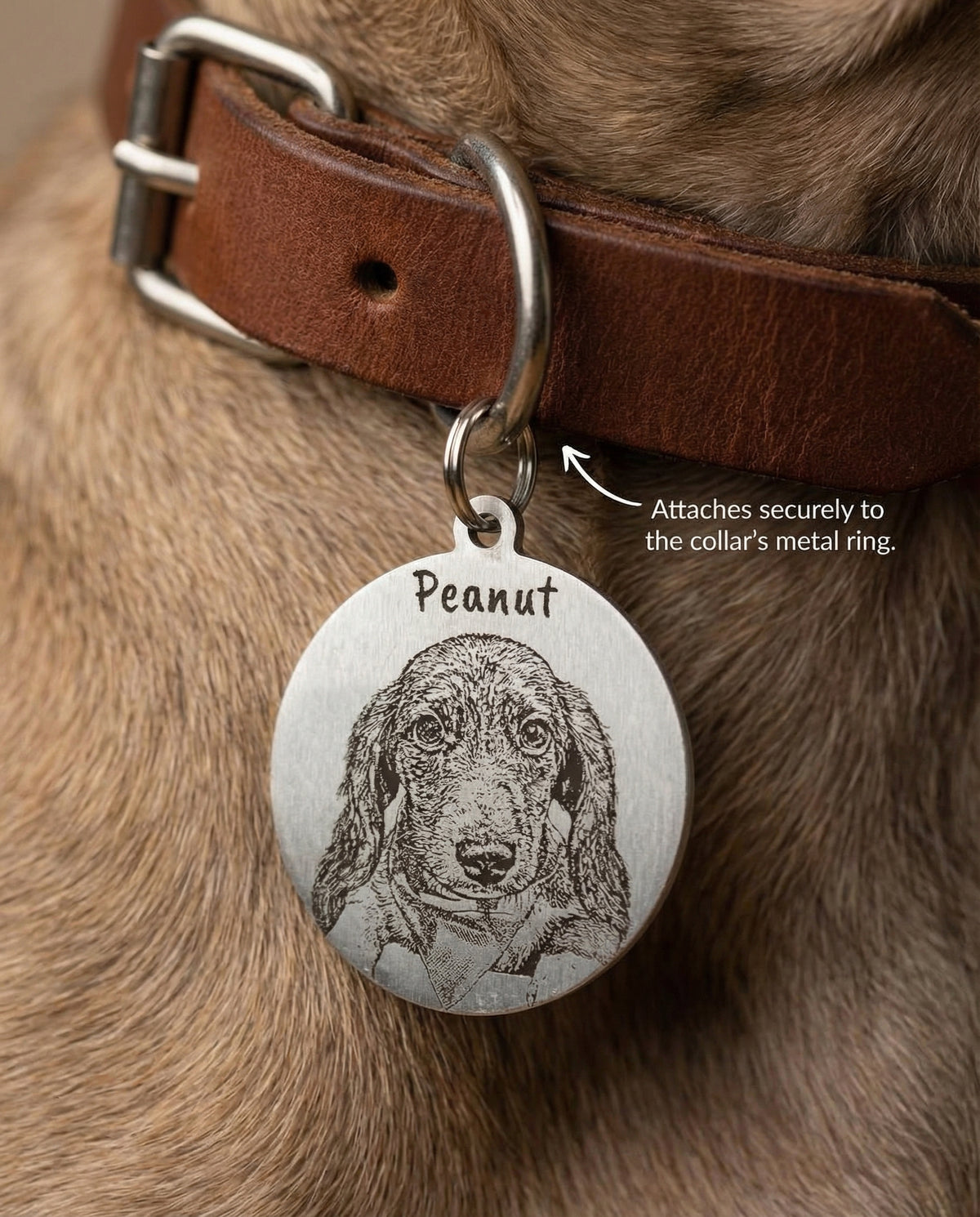 Round Collar Photo Tag