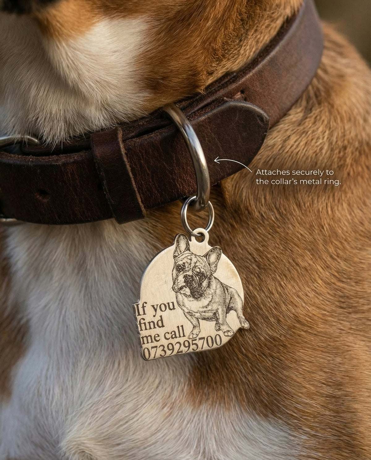 Life-Like Round Collar Tag