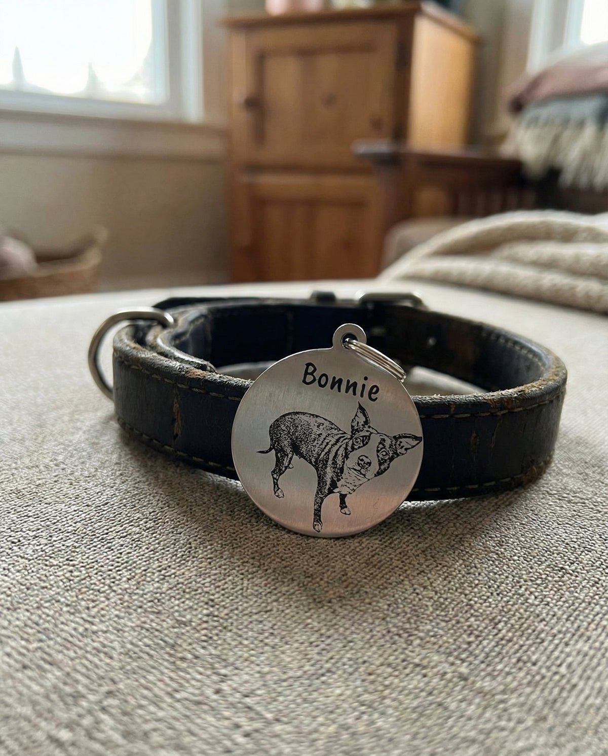 Round Collar Photo Tag
